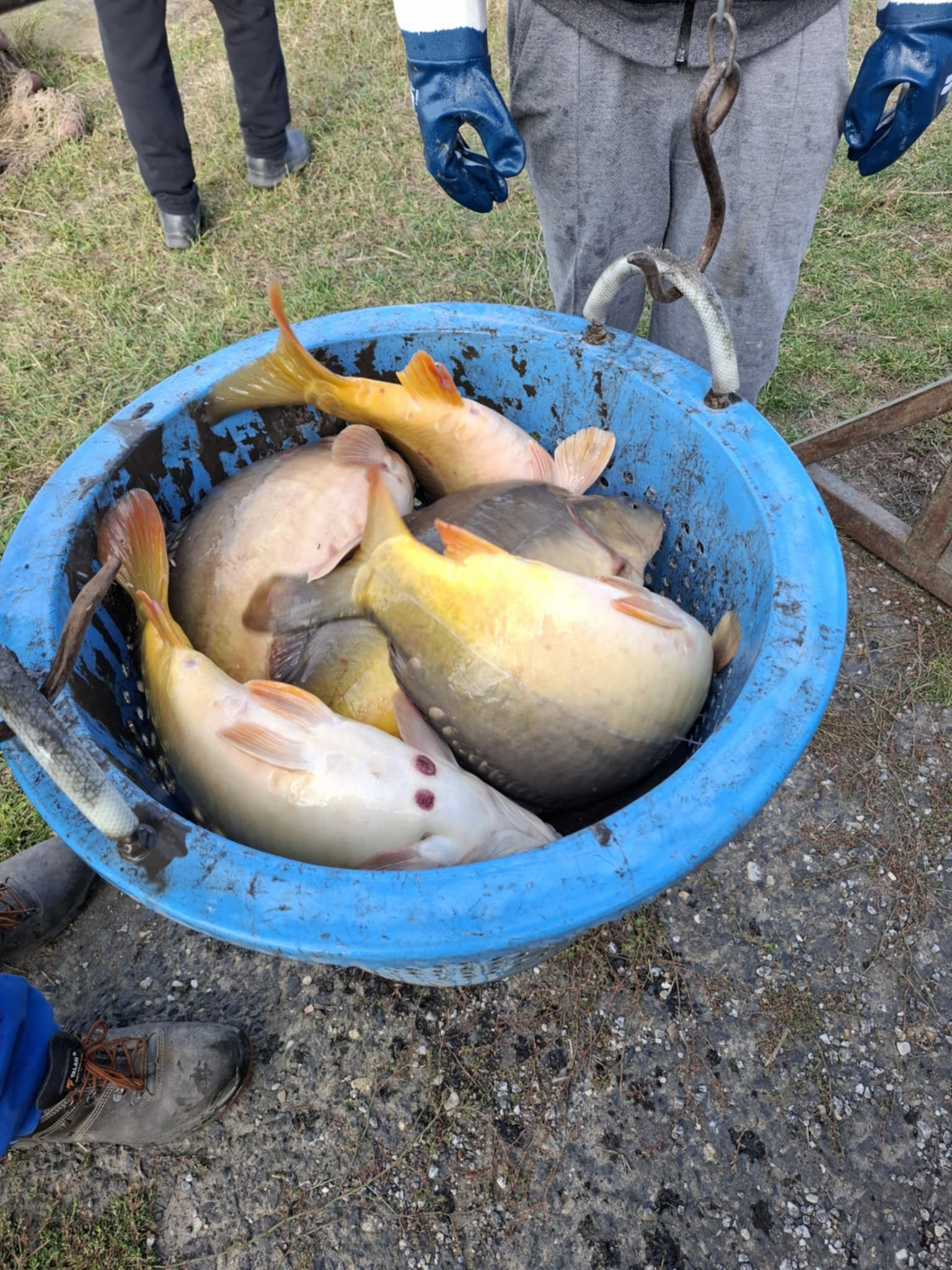 TELEPÍTÉS BESZÁMOLÓ 2025. OKTÓBER