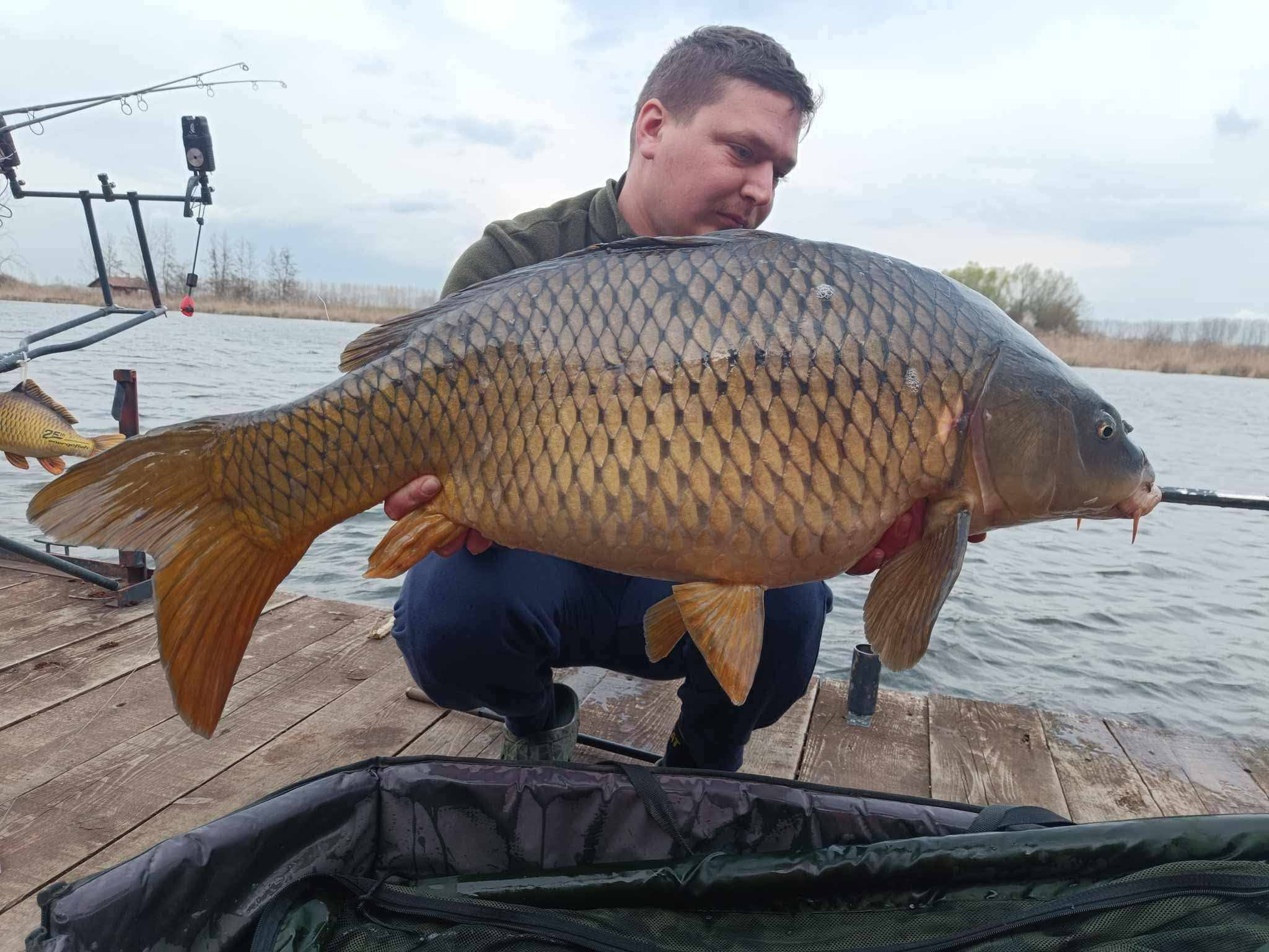 TÁJÉKOZTATÁS TELEPÍTÉSRŐL