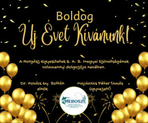Boldog Új Évet!