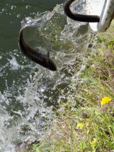 TÁJÉKOZTATÁS TELEPÍTÉSRŐL