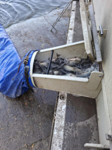 TÁJÉKOZTATÁS TELEPÍTÉSRŐL